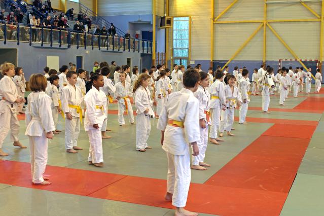 Photo de la Coupe de Judo de Dourdan 2013