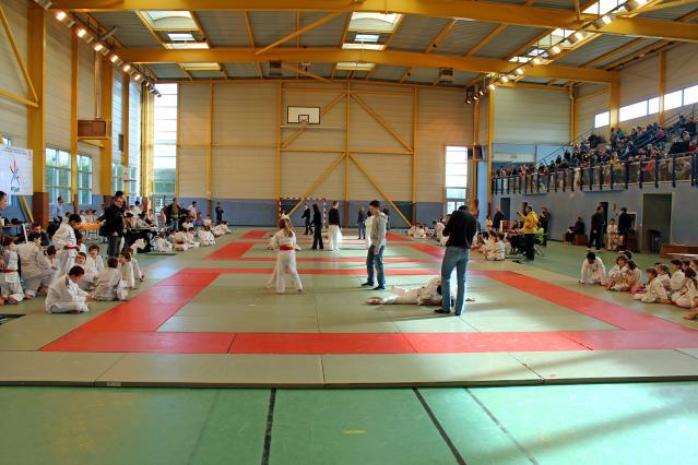Photo de la Coupe de Judo de Dourdan 2013