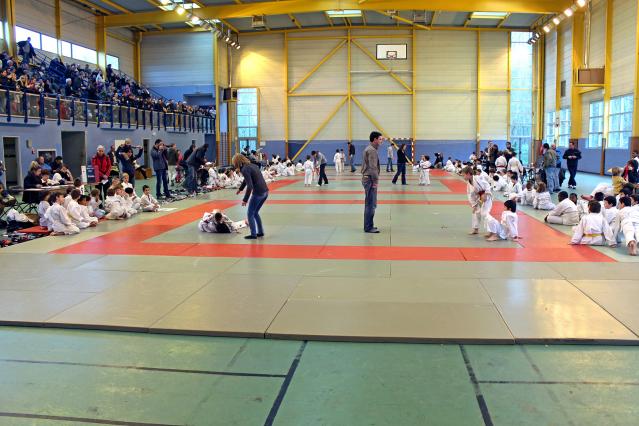 Photo de la Coupe de Judo de Dourdan 2013