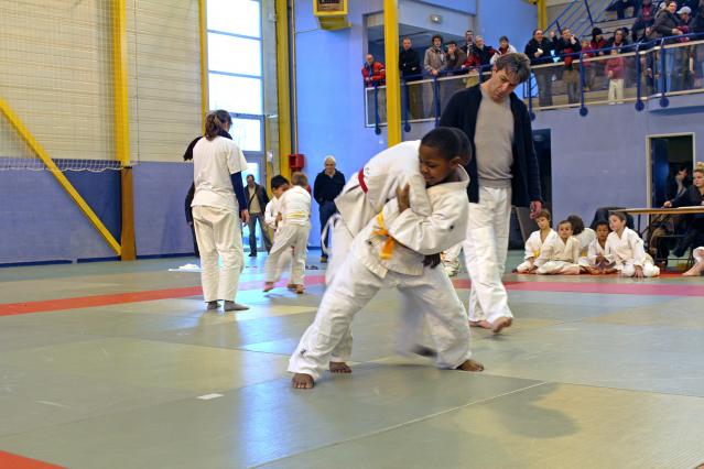 Photo de la Coupe de Judo de Dourdan 2013