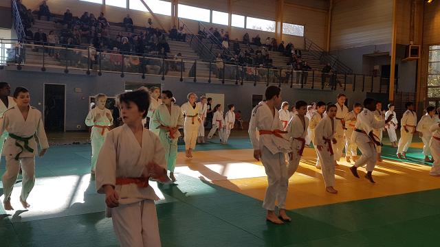 19ème Coupe de Judo de Dourdan