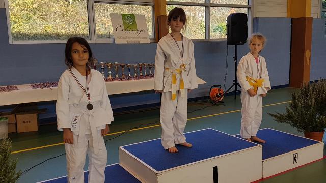 19ème Coupe de Judo de Dourdan